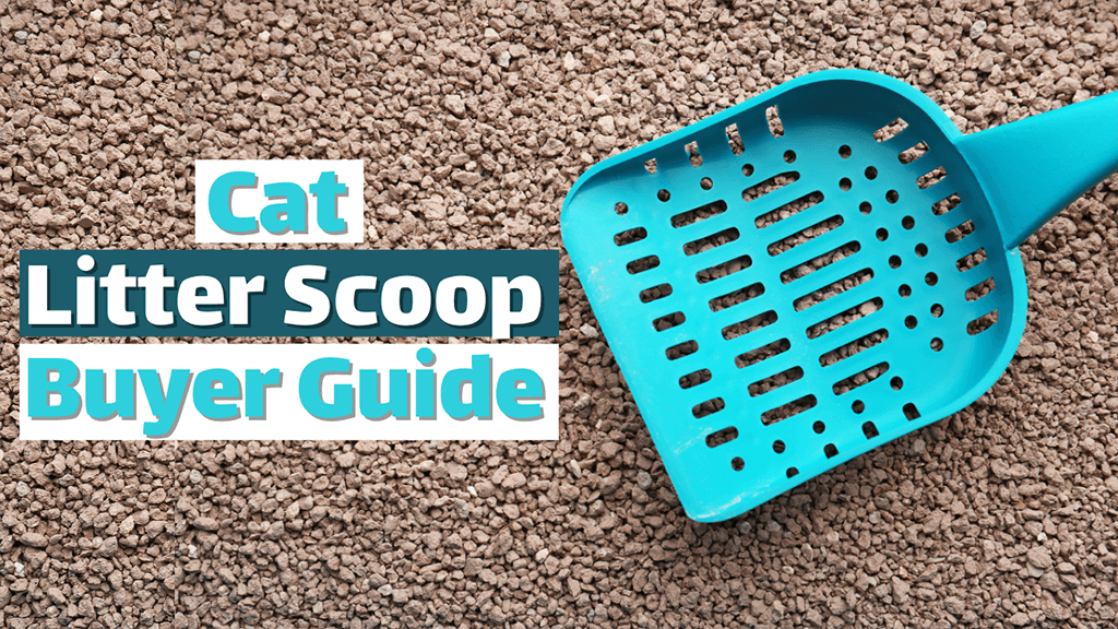 Cat Litter Scoop Buyer Guide Pets for Sale and Small Animals in USA